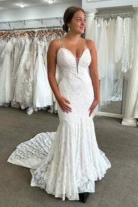 Fairy Mermaid V Neck Lace Long Wedding Dresses AB24101302