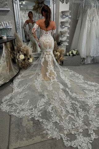 Gorgeous Mermaid V Neck Lace Wedding Dresses with Appliques AB4092804