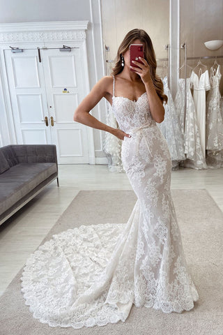 Elegant Mermaid Sweetheart Lace Long Wedding Dresses AB24083013-1