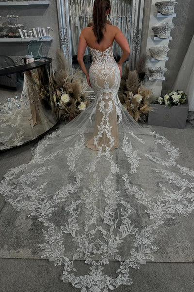 Gorgeous Mermaid V Neck Lace Wedding Dresses with Appliques AB4092804