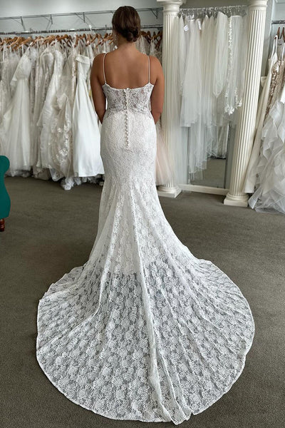 Fairy Mermaid V Neck Lace Long Wedding Dresses AB24101302